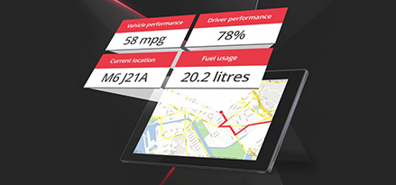 Access additional services to enhance your business fleet