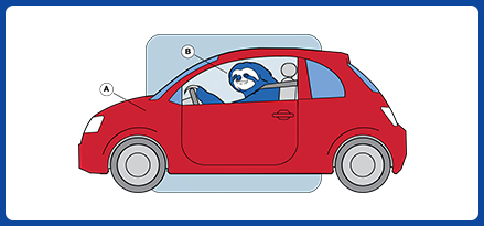 Illustration of a sloth driving a car.