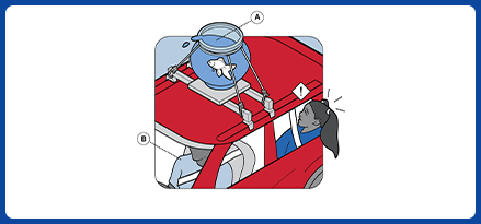 Illustration of a fishbowl attached to the roof of a car.